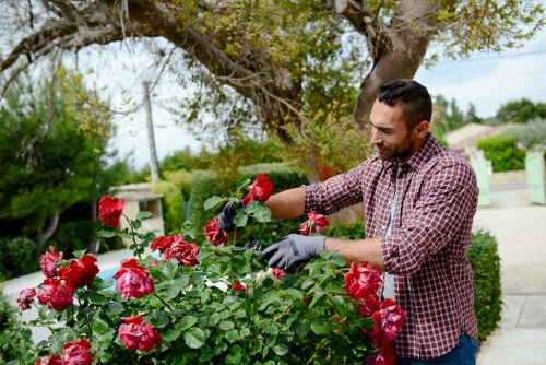 Cookie types section for landscaping website users