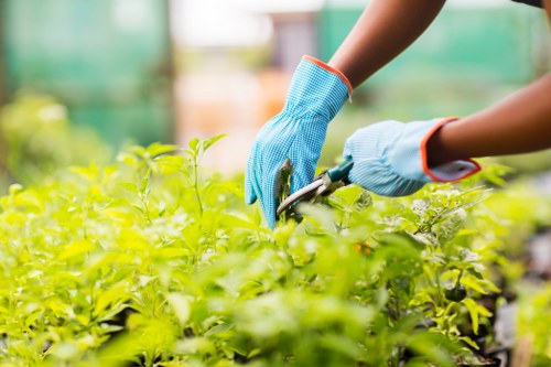 Landscape gardener reviewing service terms with client outdoors