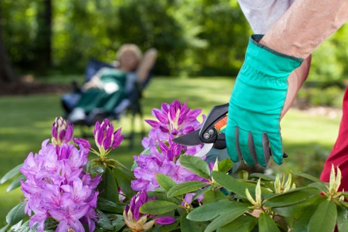 Accessible landscaping content introduction for Parsonsgreen