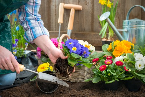 Inclusive website improvements for Parsonsgreen landscaping