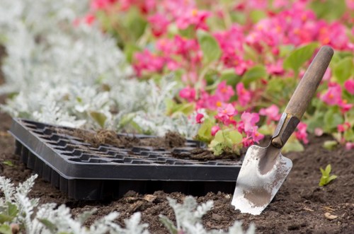 Garden makeover ideas for a Parsonsgreen home with refreshed planting and paving