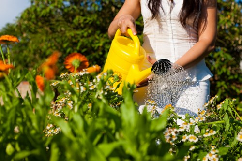 Low-maintenance garden transformation suitable for a Parsonsgreen property