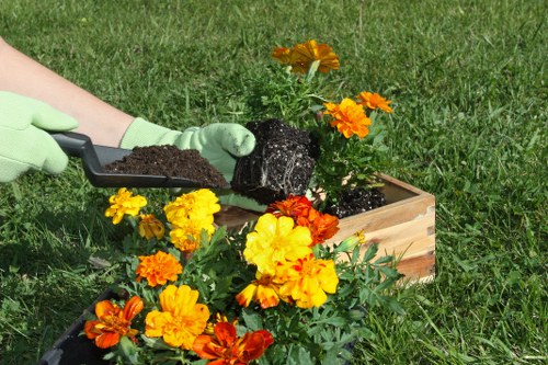 Professional garden makeover planning for residential and commercial spaces in Parsonsgreen