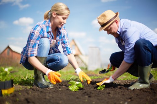 Inspection of garden work during complaint assessment
